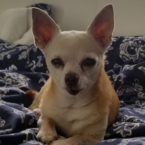 Meet your Posher, Deborah